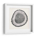 Anillo De Árbol Ii - Vision Studio | Cuadro decorativo de Canvas Lab