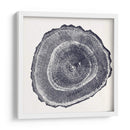 Anillo De Árbol Iii - Vision Studio | Cuadro decorativo de Canvas Lab