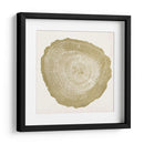 Anillo De Árbol Iv - Vision Studio | Cuadro decorativo de Canvas Lab