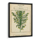 Botanía Linnea I - Vision Studio | Cuadro decorativo de Canvas Lab