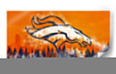 Denver Broncos | Cuadro decorativo de Canvas Lab