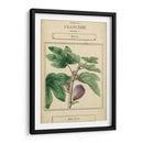 Botanía Linnea Vi - Vision Studio | Cuadro decorativo de Canvas Lab