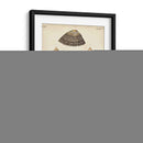 Cáscaras De Knorr Antiguo V - Knorr | Cuadro decorativo de Canvas Lab
