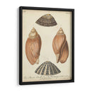 Cáscaras De Knorr Antiguo V - Knorr | Cuadro decorativo de Canvas Lab