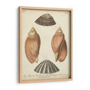 Cáscaras De Knorr Antiguo V - Knorr | Cuadro decorativo de Canvas Lab