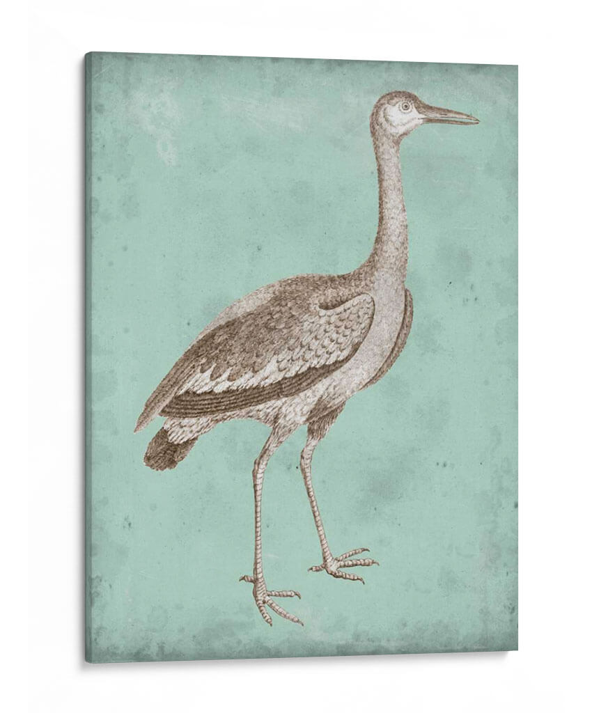 Sepia Y Spa Heron I - Vision Studio | Cuadro decorativo de Canvas Lab