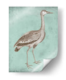 Sepia Y Spa Heron I - Vision Studio | Cuadro decorativo de Canvas Lab