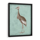Sepia Y Spa Heron Ii - Vision Studio | Cuadro decorativo de Canvas Lab