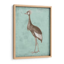 Sepia Y Spa Heron Ii - Vision Studio | Cuadro decorativo de Canvas Lab