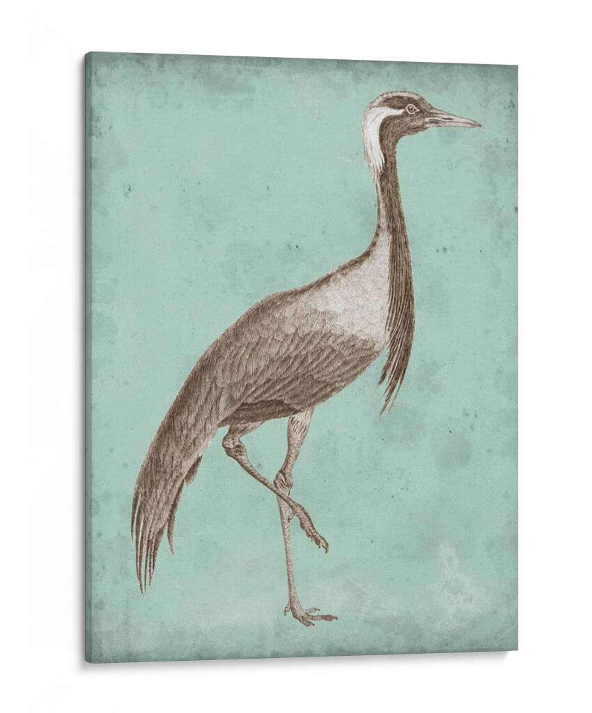 Sepia Y Spa Heron Iii - Vision Studio | Cuadro decorativo de Canvas Lab