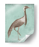 Sepia Y Spa Heron Iii - Vision Studio | Cuadro decorativo de Canvas Lab