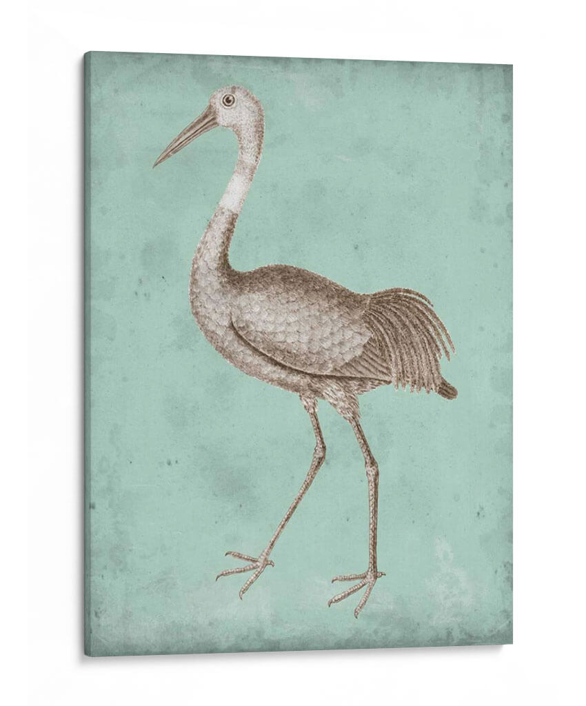 Sepia Y Spa Heron Iv - Vision Studio | Cuadro decorativo de Canvas Lab