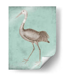 Sepia Y Spa Heron Iv - Vision Studio | Cuadro decorativo de Canvas Lab