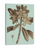 Árboles Florecientes Iv - Vision Studio | Cuadro decorativo de Canvas Lab