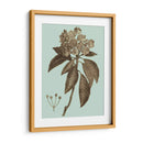 Árboles Florecientes V - Vision Studio | Cuadro decorativo de Canvas Lab