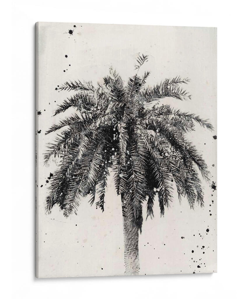 L.A. Sueño Ii - Naomi McCavitt | Cuadro decorativo de Canvas Lab