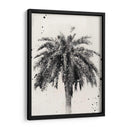 L.A. Sueño Ii - Naomi McCavitt | Cuadro decorativo de Canvas Lab