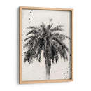 L.A. Sueño Ii - Naomi McCavitt | Cuadro decorativo de Canvas Lab