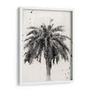 L.A. Sueño Ii - Naomi McCavitt | Cuadro decorativo de Canvas Lab