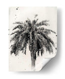 L.A. Sueño Ii - Naomi McCavitt | Cuadro decorativo de Canvas Lab