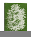 Arbor Moderno I - Vision Studio | Cuadro decorativo de Canvas Lab