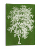 Arbor Iii Moderno - Vision Studio | Cuadro decorativo de Canvas Lab