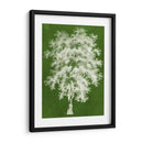 Arbor Iii Moderno - Vision Studio | Cuadro decorativo de Canvas Lab