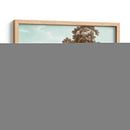 Árboles Serenos Ii - Edward Kennion | Cuadro decorativo de Canvas Lab