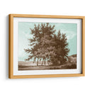 Serene Árboles Iv - Edward Kennion | Cuadro decorativo de Canvas Lab