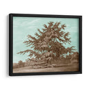 Arboles Serenos Vi - Edward Kennion | Cuadro decorativo de Canvas Lab