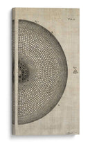 Cuadro decorativo de Canvas Lab