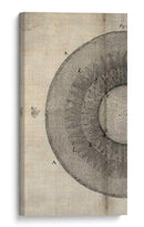 Corte Cruzado Ii Izquierdo - John Butler | Cuadro decorativo de Canvas Lab