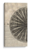 Cuadro decorativo de Canvas Lab