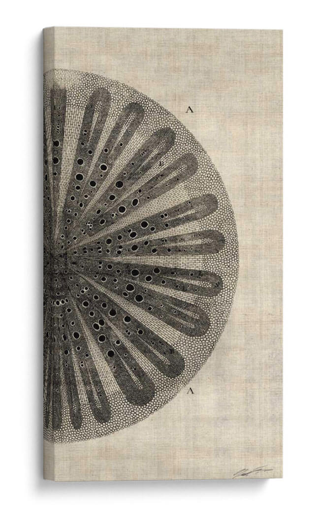 Corte Cruzado Iii Derecho - John Butler | Cuadro decorativo de Canvas Lab