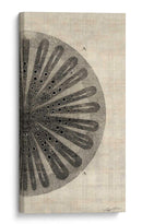 Corte Cruzado Iii Derecho - John Butler | Cuadro decorativo de Canvas Lab