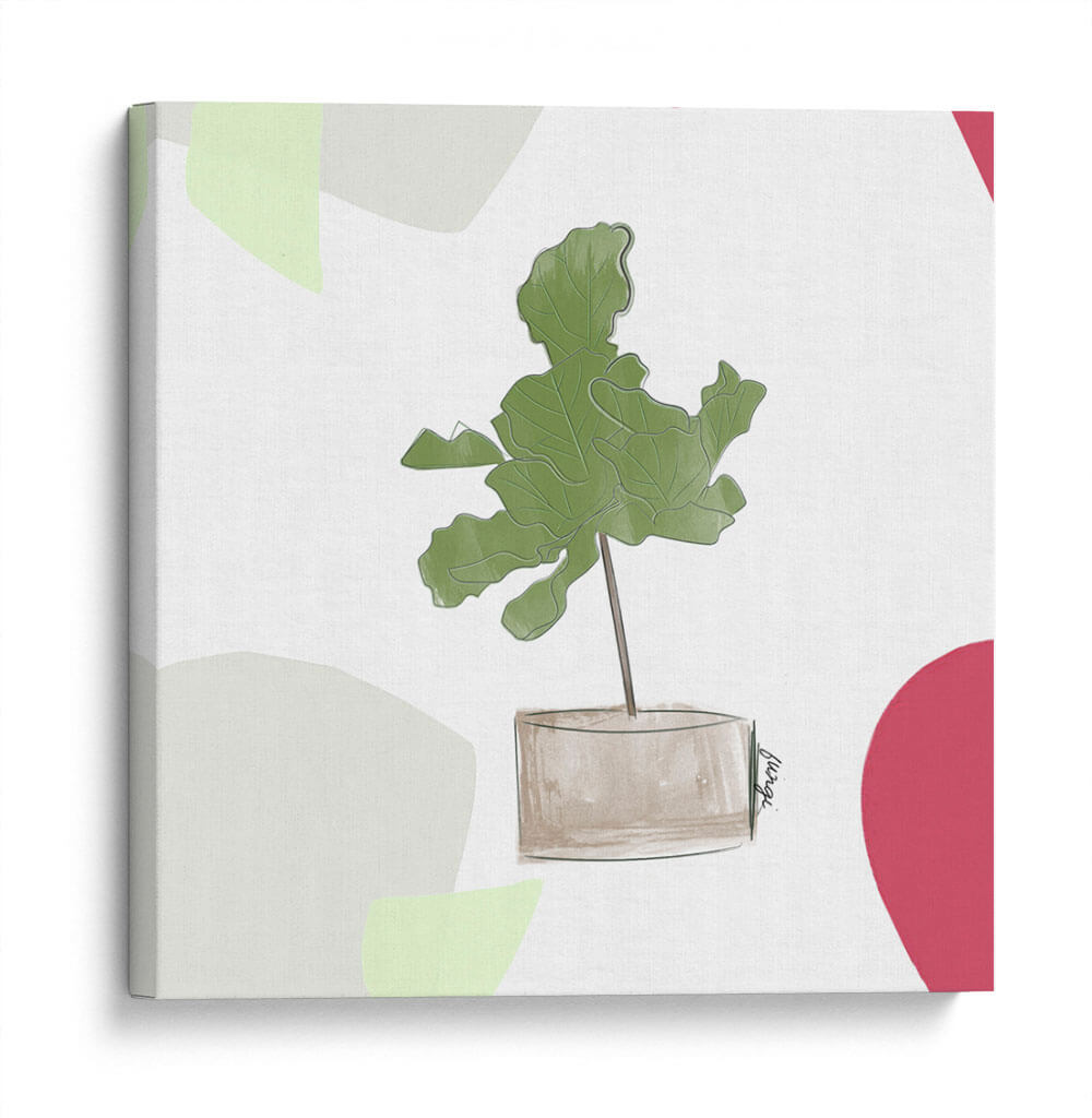 Planta de higo | Cuadro decorativo de Canvas Lab