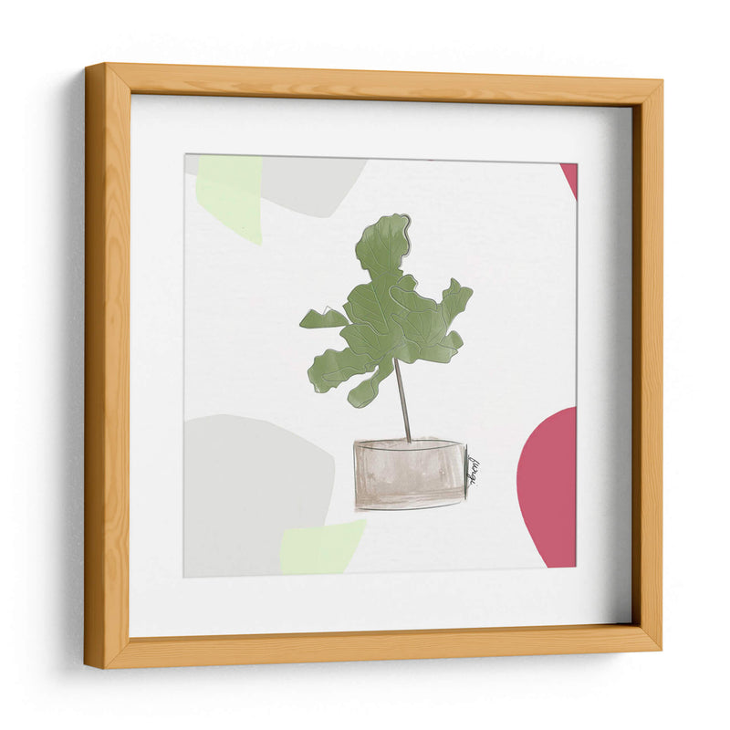 Planta de higo | Cuadro decorativo de Canvas Lab