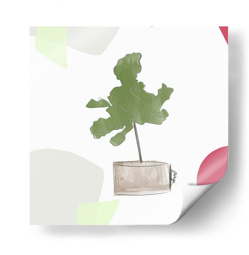 Planta de higo | Cuadro decorativo de Canvas Lab