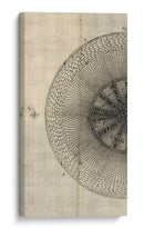 Corte Cruzado Iv Izquierda - John Butler | Cuadro decorativo de Canvas Lab