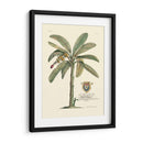 Banano - Porter Design | Cuadro decorativo de Canvas Lab