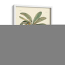 Banano - Porter Design | Cuadro decorativo de Canvas Lab