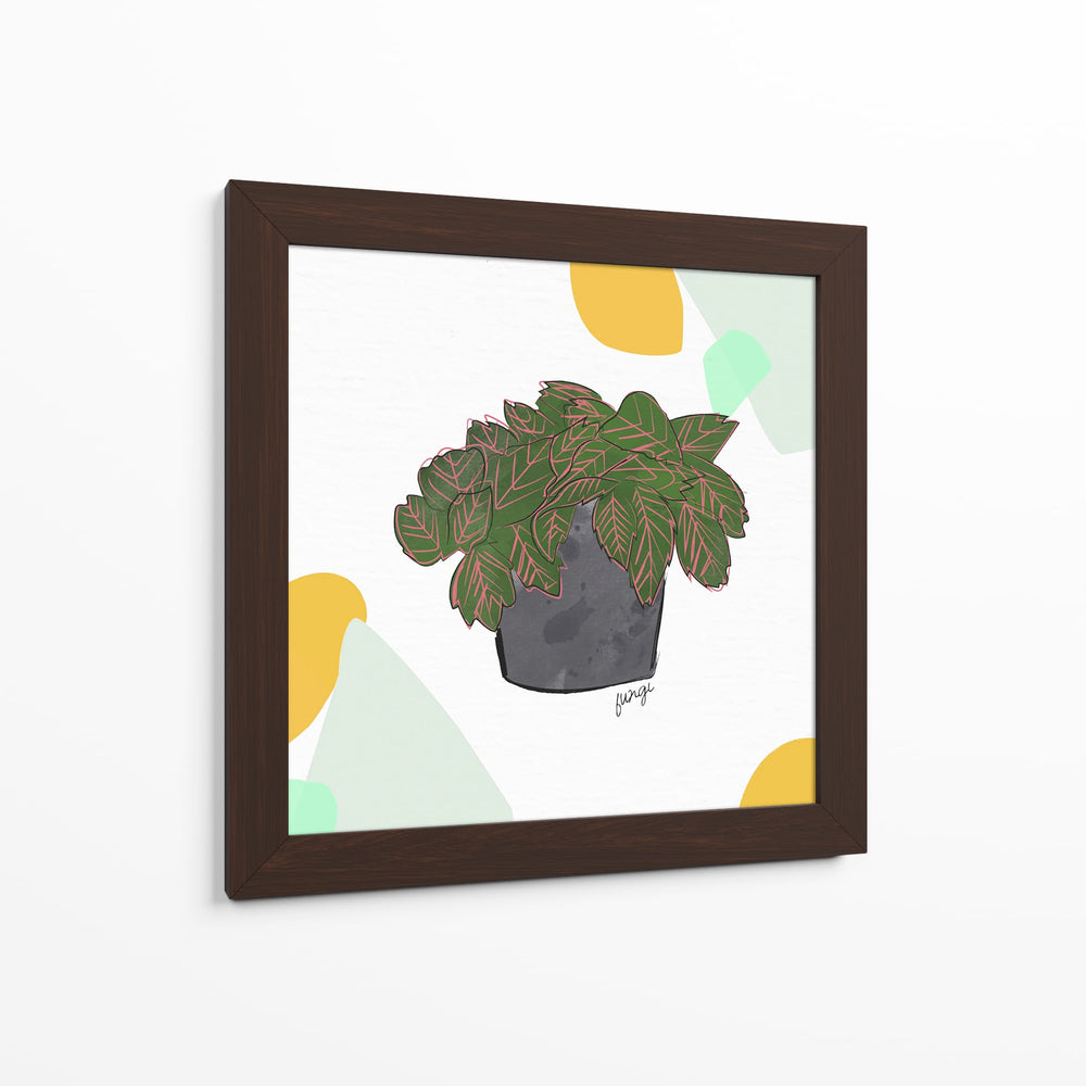 Fittonia | Cuadro decorativo de Canvas Lab