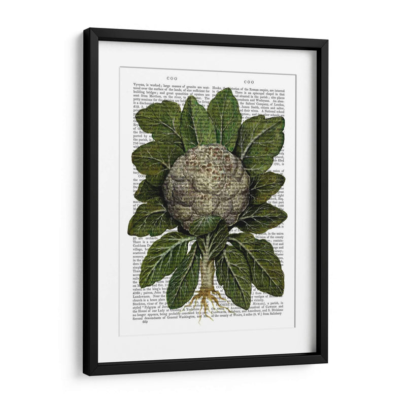 Coliflor - Fab Funky | Cuadro decorativo de Canvas Lab