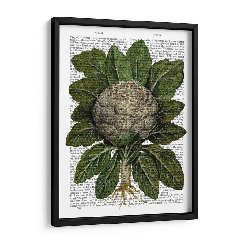 Coliflor - Fab Funky | Cuadro decorativo de Canvas Lab