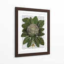 Coliflor - Fab Funky | Cuadro decorativo de Canvas Lab
