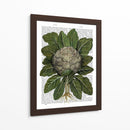 Coliflor - Fab Funky | Cuadro decorativo de Canvas Lab