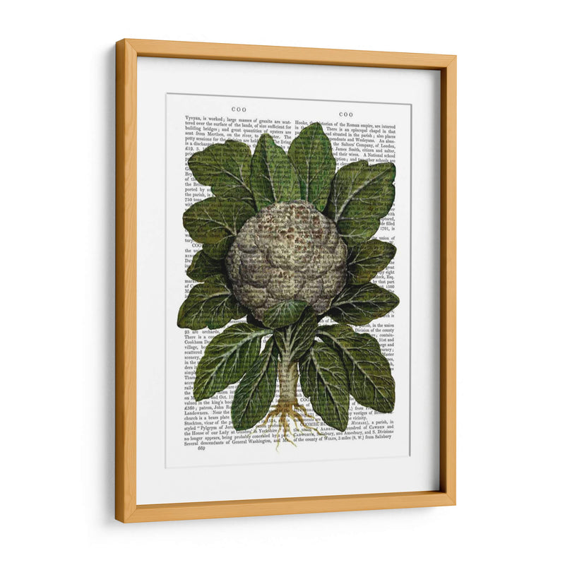 Coliflor - Fab Funky | Cuadro decorativo de Canvas Lab