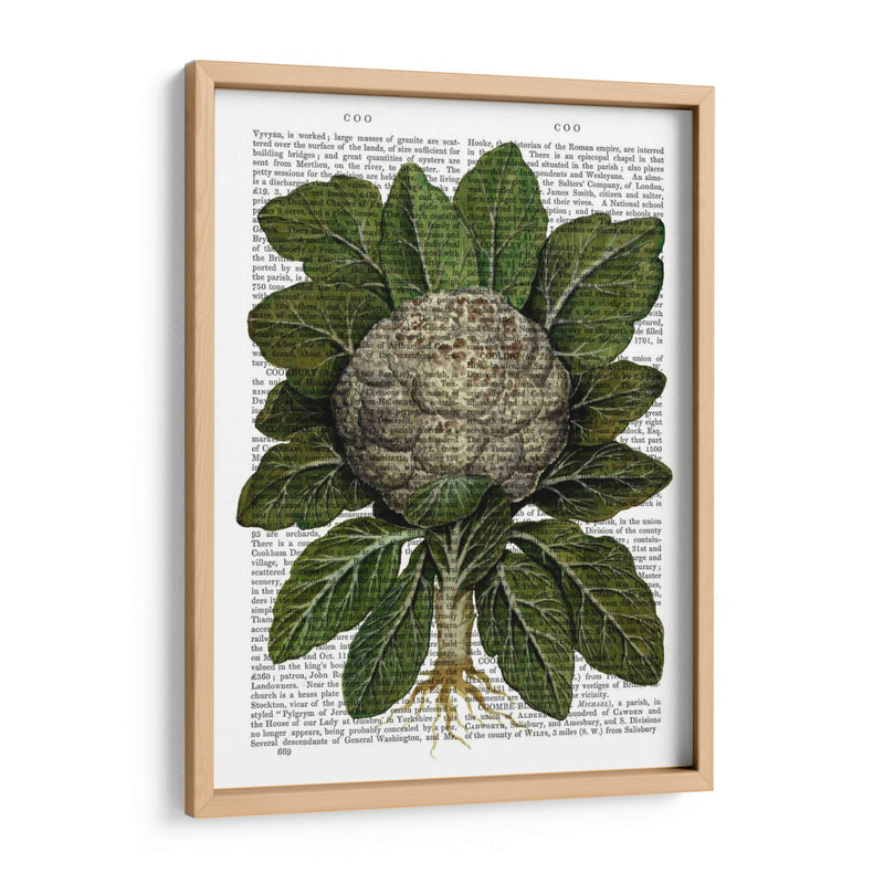 Coliflor - Fab Funky | Cuadro decorativo de Canvas Lab