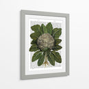Coliflor - Fab Funky | Cuadro decorativo de Canvas Lab