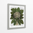 Coliflor - Fab Funky | Cuadro decorativo de Canvas Lab